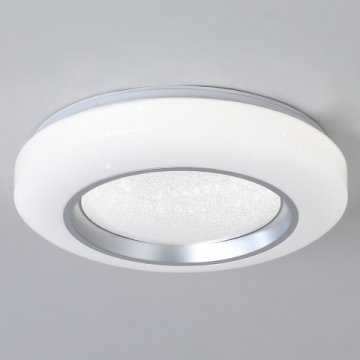 Потолочный светильник Reluce 02098-9.2-60W*2A