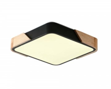 Потолочный светильник Zortes ALBERRO ZRS.01281.60