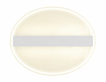 Потолочный светодиодный светильник Ambrella light Original FA607