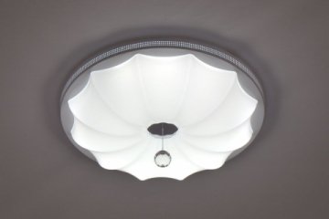 Потолочный светодиодный светильник Escada 10231/S LED