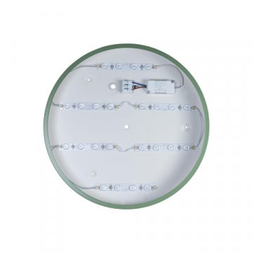 Потолочный светодиодный светильник Loft IT Axel 10002/24  green