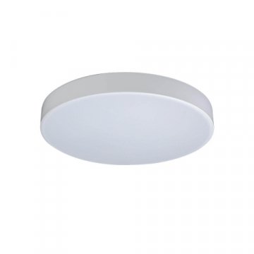 Потолочный светодиодный светильник Loft IT Axel 10002/24 white