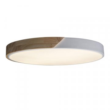 Потолочный светодиодный светильник Loft IT Axel 10004/36 white