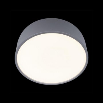 Потолочный светодиодный светильник Loft IT Axel 10201/350 Grey