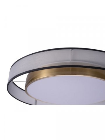 Потолочный светодиодный светильник Zortes Bella ZRS.27510.05