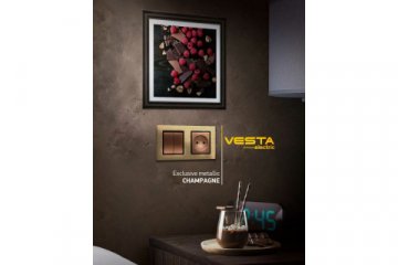 Рамка 5-постовая Vesta-Electric Exclusive Silver Champagne шампань FRM050501BSH