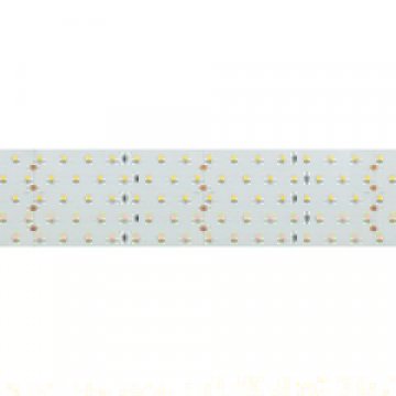 Светодиодная лента Arlight 36W/m 350LED/m 2835SMD дневной белый 2,5M 019081(2)