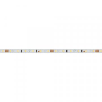 Светодиодная лента Arlight 9,6W/m 120LED/m 2216SMD дневной белый 5M 024413(2)