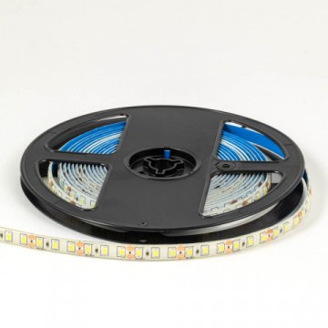 Светодиодная лента OGM 9,6W/m 120LED/m 2835SMD холодный белый 5M LSE-261