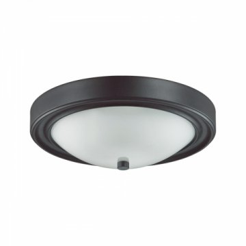 Настенно-потолочный светильник Lumion Vintage Nina 5260/2C