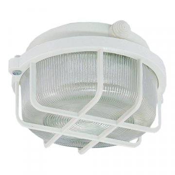 Настенно-потолочный светильник TDM Electric НПП 03-100-005.04 SQ0311-0001