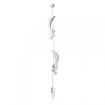 Подвесной светильник Loft IT Sherwood 10093