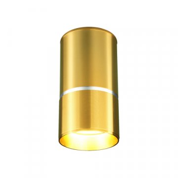 Потолочный светильник Elektrostandard DLN106 GU10 золото a047732