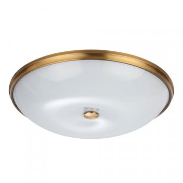 Потолочный светильник Odeon Light Walli Pelow 4956/6