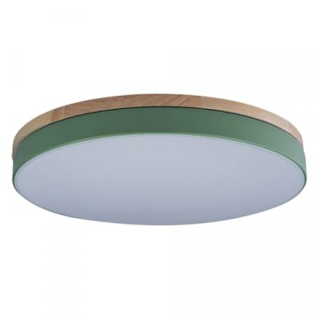Потолочный светодиодный светильник Loft IT Axel 10001/36 green