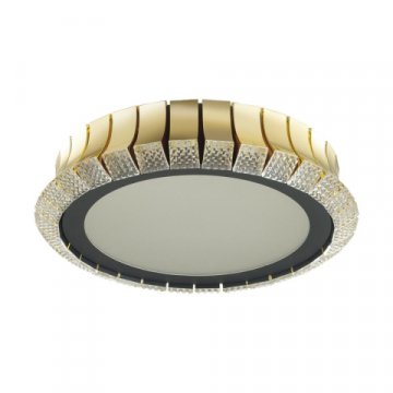 Потолочный светодиодный светильник Odeon Light Asturo 4994/75L