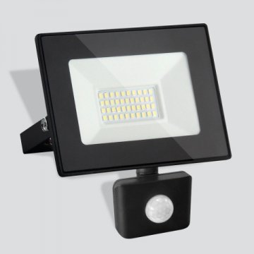 Прожектор светодиодный Elektrostandard Elementary 030 FL LED 50W 6500K IP44 a051946