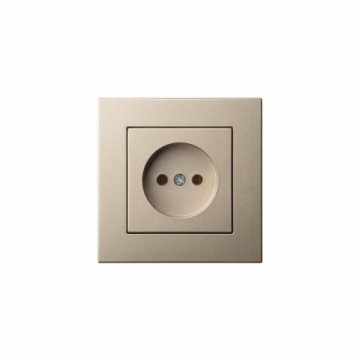 Розетка 2P Liregus Epsilon шампань 28-309