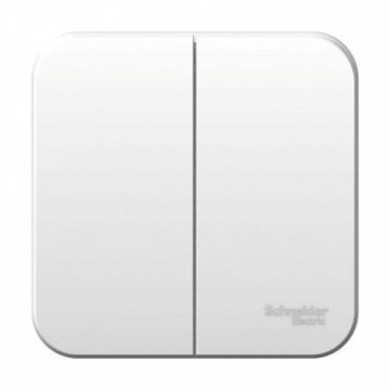 Выключатель двухклавишный Schneider Electric Blanca 6A 250V белый BLNVA065001