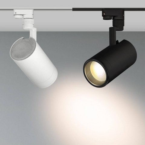 Трековый светодиодный светильник Arlight LGD-Zeus-2TR-R100-30W White6000 025951