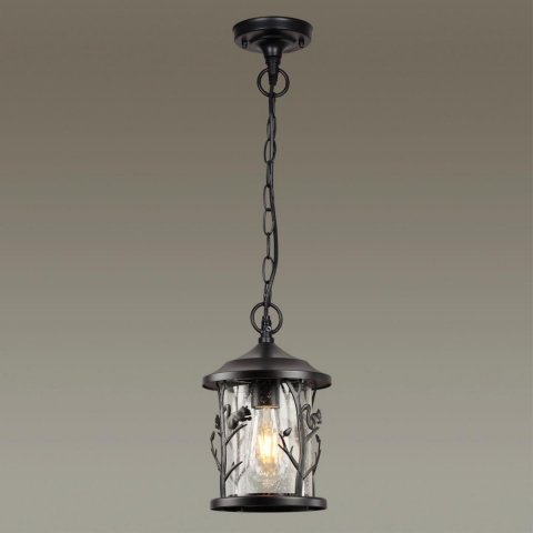 Уличный подвесной светильник Odeon Light Nature Cuita 4963/1