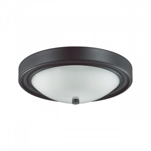 Настенно-потолочный светильник Lumion Vintage Nina 5260/2C