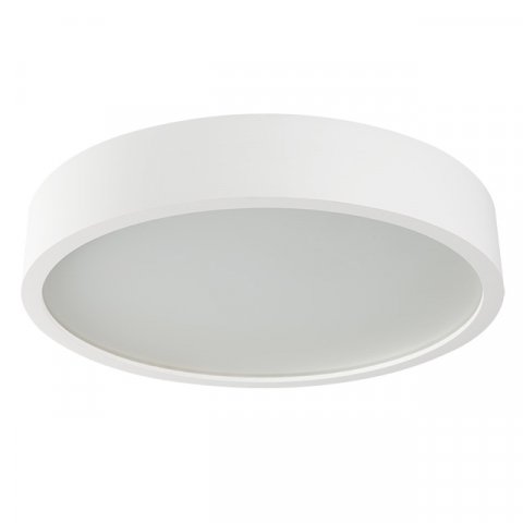 Настенный потолочный светильник Kanlux JASMIN 470-W/M 23128