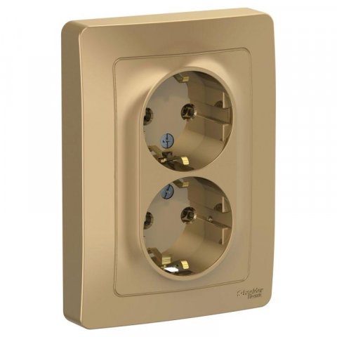 Розетка двойная 2К+З Schneider Electric Blanca 16A 250V титан BLNRS001024
