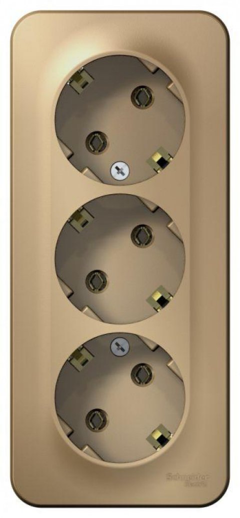 Розетка тройная 2К+3 Schneider Electric Blanca 16A 250V титан BLNRA010314